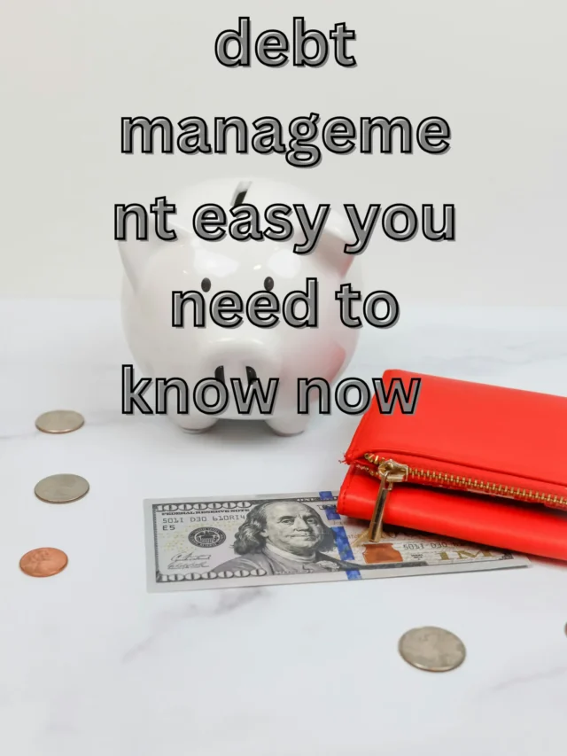 debt management​